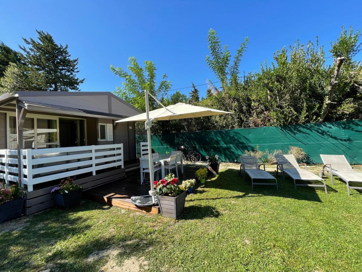 Avignon, Joli Chalet En Campagne Tres Proche De La Ville ภายนอก รูปภาพ